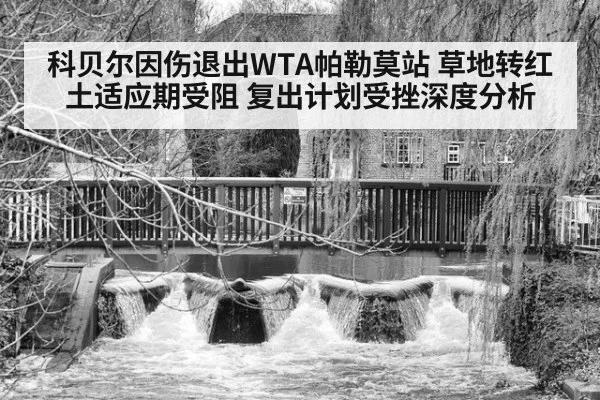 科贝尔因伤退出WTA帕勒莫站 草地转红土适应期受阻 复出计划受挫深度分析